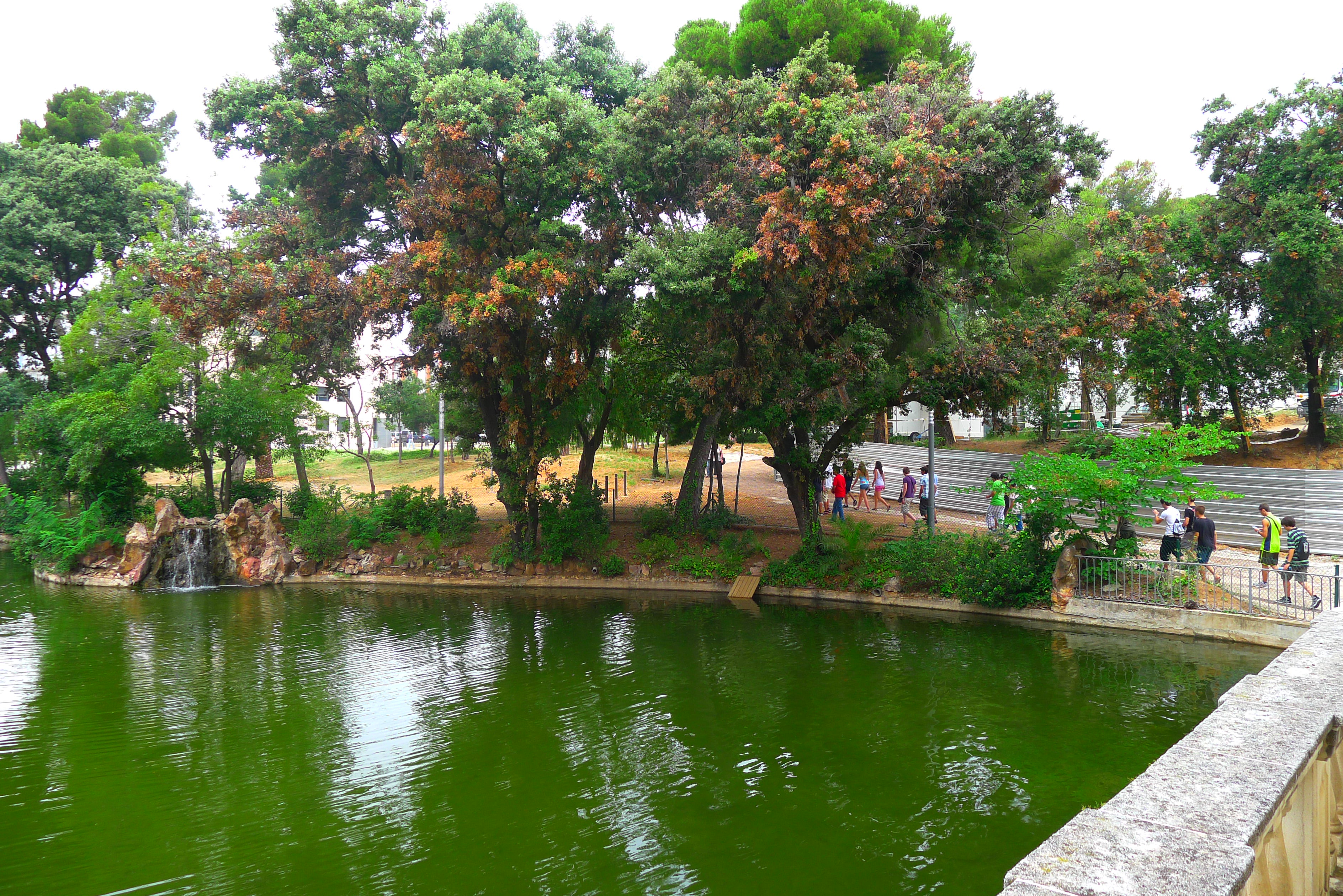 P1000772
