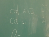 P1000881